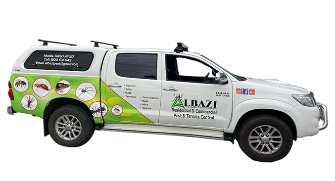 Albazi car